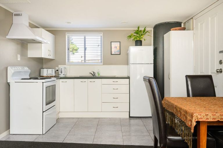 Photo of property in 101a Limbrick Street, Terrace End, Palmerston North, 4410