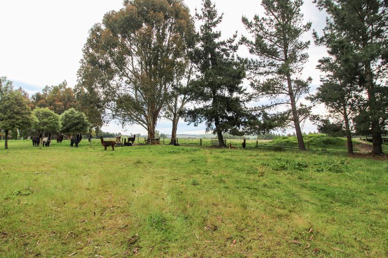 Photo of property in 278 Homestead Road, Weston, Oamaru, 9491