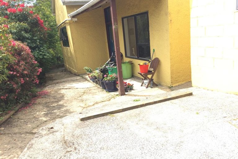 Photo of property in 57 Opoho Road, North East Valley, Dunedin, 9010