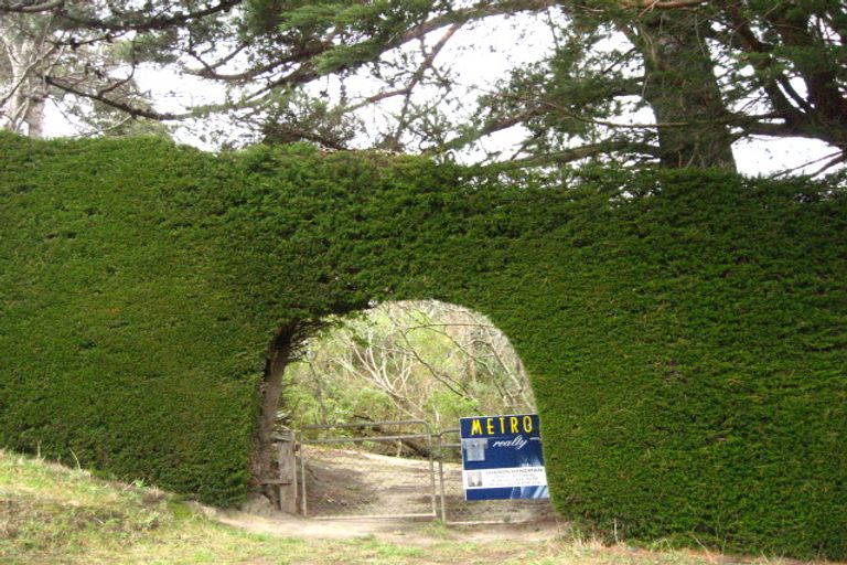 Photo of property in 12 Bank Road, Warrington, Waikouaiti, 9471