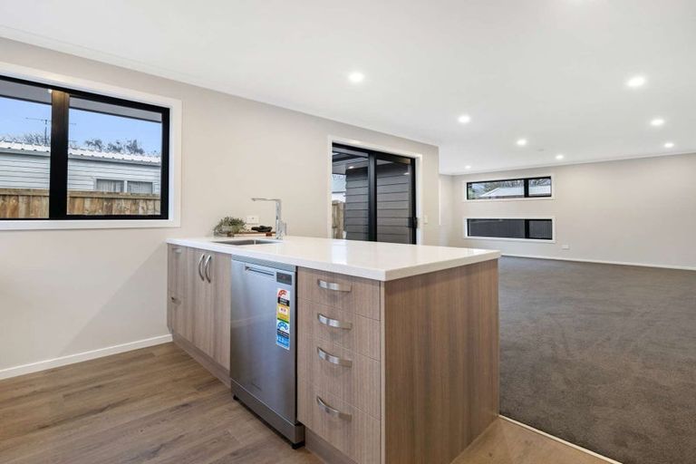 Photo of property in 164a Chalmers Avenue, Hampstead, Ashburton, 7700