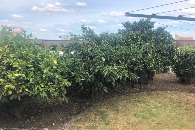 Photo of property in 3 Domain View Lane, Frankton, Hamilton, 3204