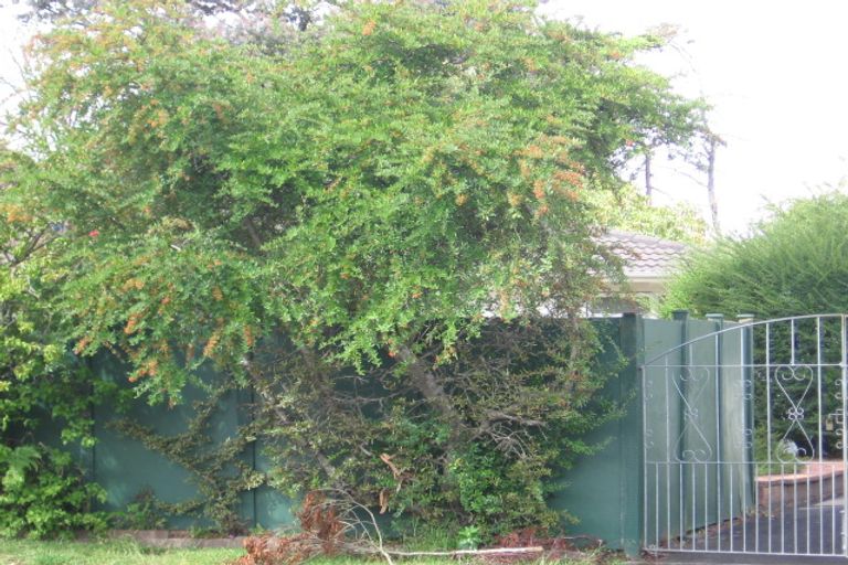 Photo of property in 41 Takapu Street, Henderson, Auckland, 0612
