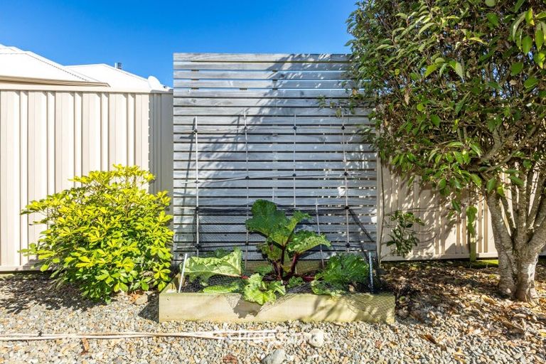 Photo of property in 19 Brentwood Street, Trentham, Upper Hutt, 5018