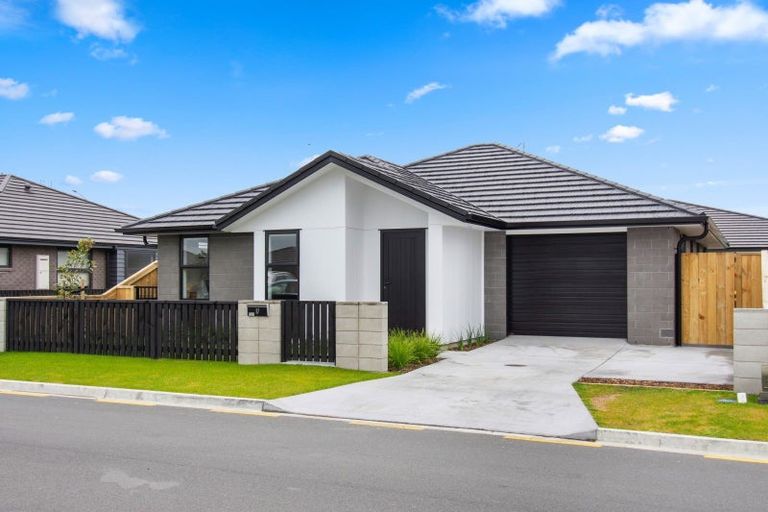 Photo of property in 117 Union Drive, Papamoa, 3118