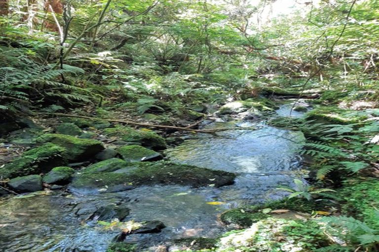 Photo of property in 290 Mount Cargill Road, Mount Cargill, Waitati, 9085