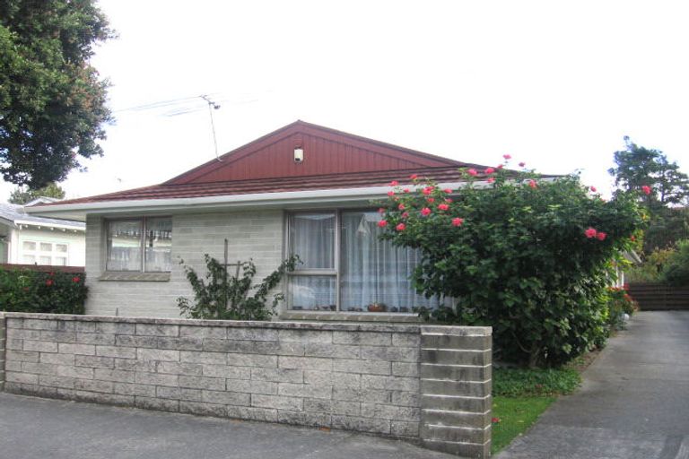 Photo of property in 19a Bloomfield Terrace, Hutt Central, Lower Hutt, 5010