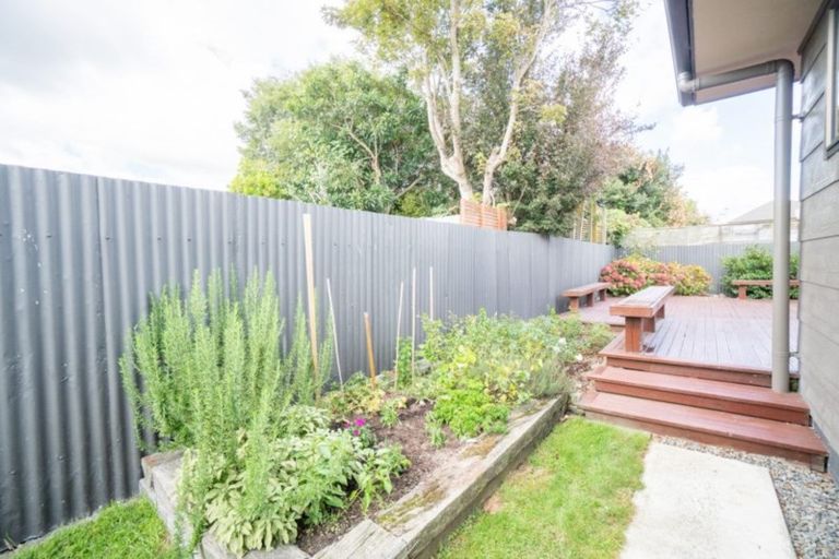 Photo of property in 41a Manawatu Street, Hokowhitu, Palmerston North, 4410