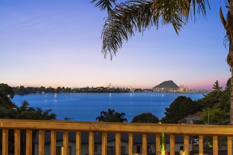 Photo of property in 202 Maungatapu Road, Maungatapu, Tauranga, 3112