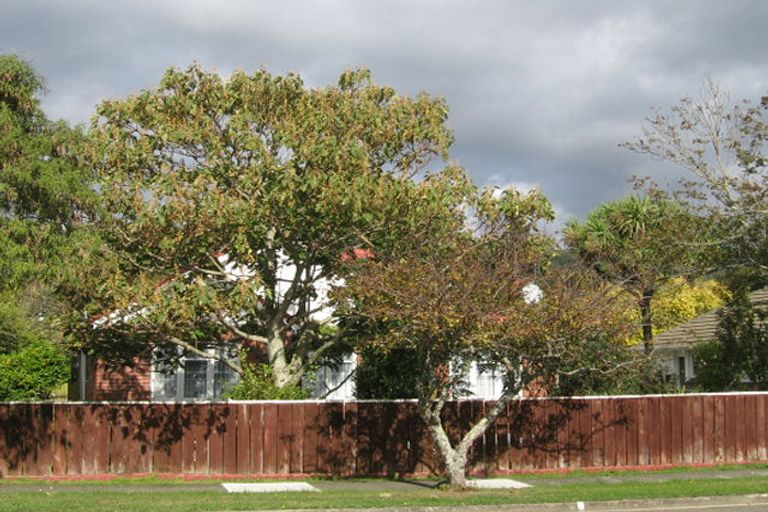 Photo of property in 20 York Avenue, Heretaunga, Upper Hutt, 5018