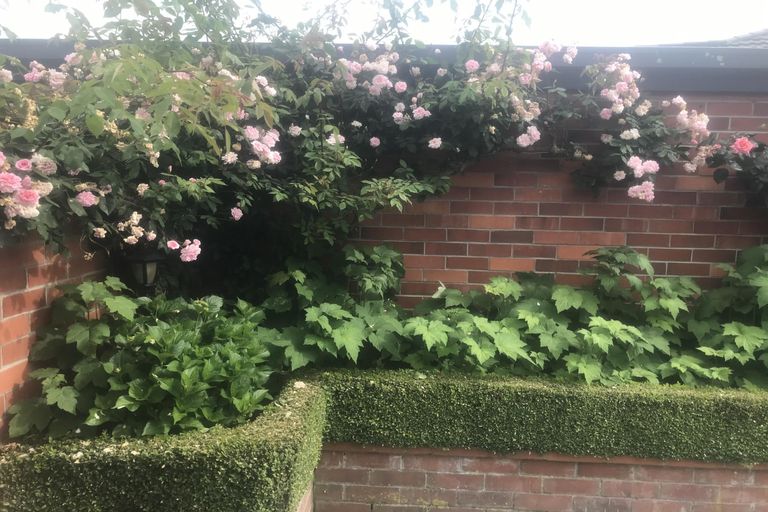 Photo of property in 43c Mckenzie Street, Geraldine, 7930