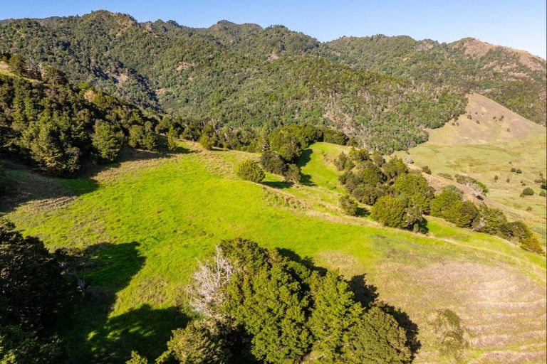 Photo of property in 1169 Tangihua Road, Maungakaramea, 0178