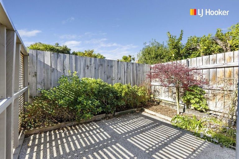 Photo of property in 32b Albert Street, Saint Clair, Dunedin, 9012