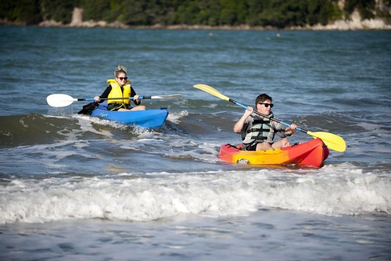 Photo of property in 193 Buffalo Beach Sh25 Road, Whitianga, 3592