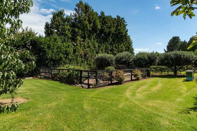 Photo of property in 84 Plummer Road, Whakamarama, Tauranga, 3179