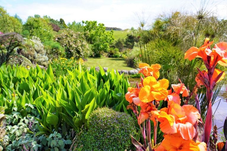 Photo of property in 747 Three Mile Bush Road, Ruatangata West, Kamo, 0185