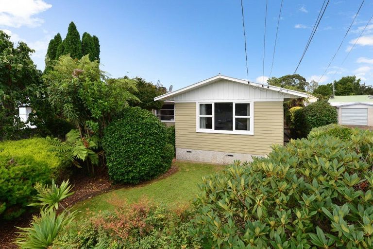 Photo of property in 12 Carlyle Avenue, Chartwell, Hamilton, 3210
