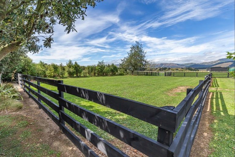 Photo of property in 51 Laward Road, Shannon, Palmerston North, 4474