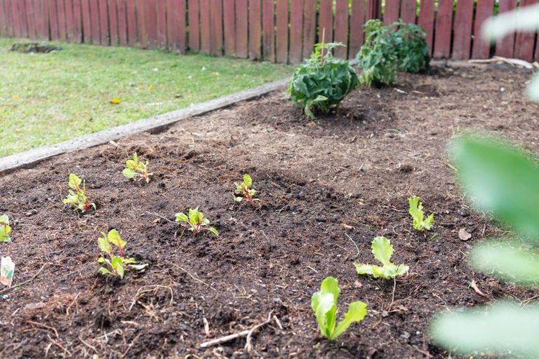 Photo of property in 1 Peterhouse Street, Tawa, Wellington, 5028