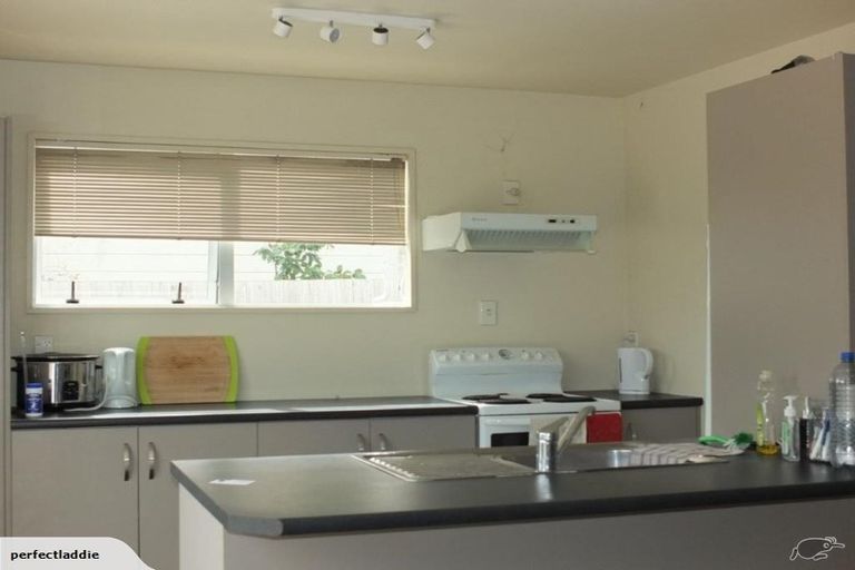 Photo of property in 99 Elizabeth Street, Riccarton, Christchurch, 8041