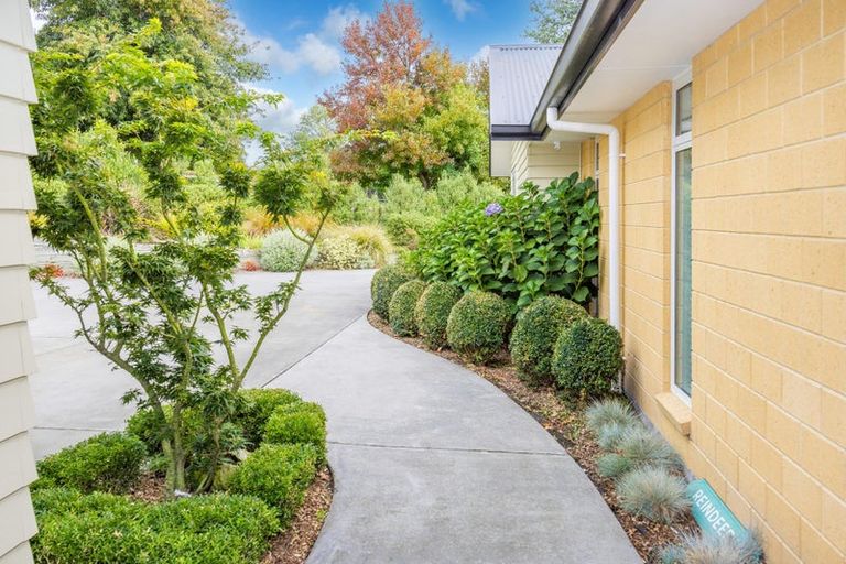 Photo of property in 920a Bond Road, Te Awamutu, 3879