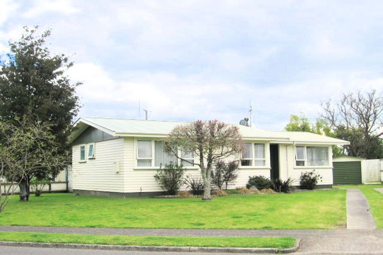 Photo of property in 29 Taipari Street, Maungatapu, Tauranga, 3112