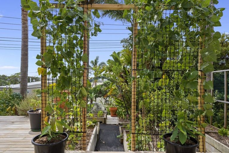 Photo of property in 6a Mizpah Road, Torbay, Auckland, 0630