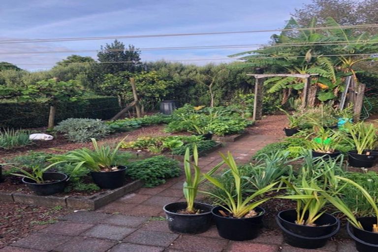 Photo of property in 6 Courthouse Lane, Waimate North, Kaikohe, 0472