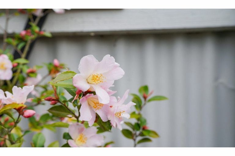 Photo of property in 1/103 Fox Street, Avenal, Invercargill, 9810