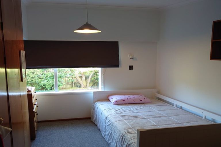 Photo of property in 121 Brecon Road, Stratford, 4332