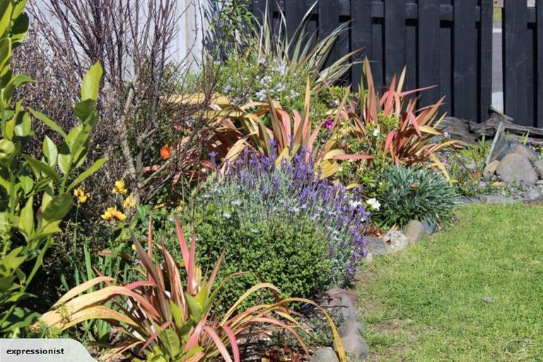 Photo of property in 6 Kinsella Place, Paeroa, 3600