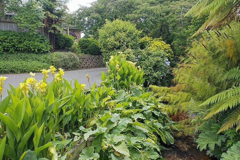 Photo of property in 42 Guildford Drive, Paraparaumu, 5032