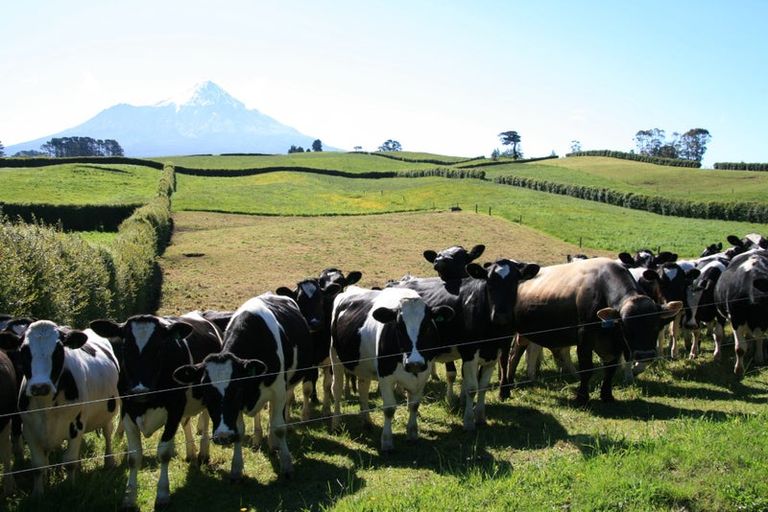 Photo of property in 581r Pembroke Road, Pembroke, Stratford, 4391