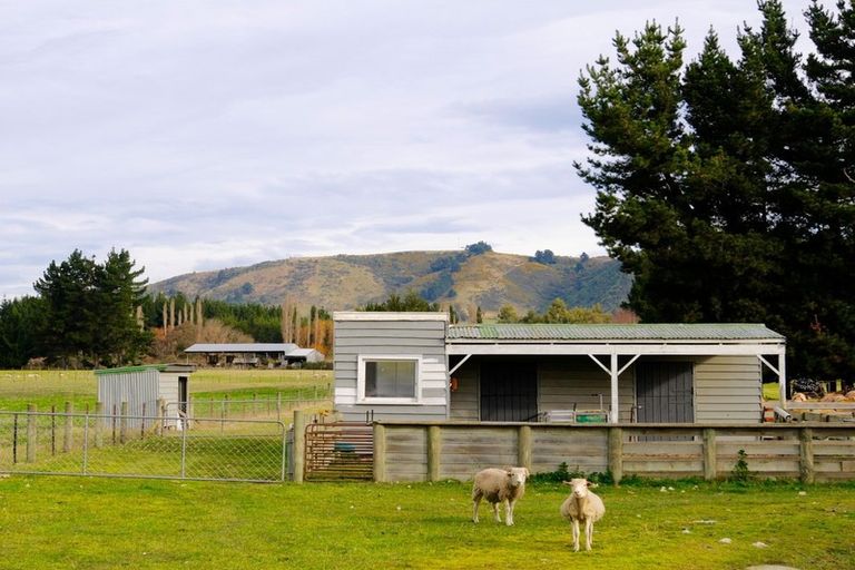 Photo of property in 64 Waihao Back Road, Waimate, 7979