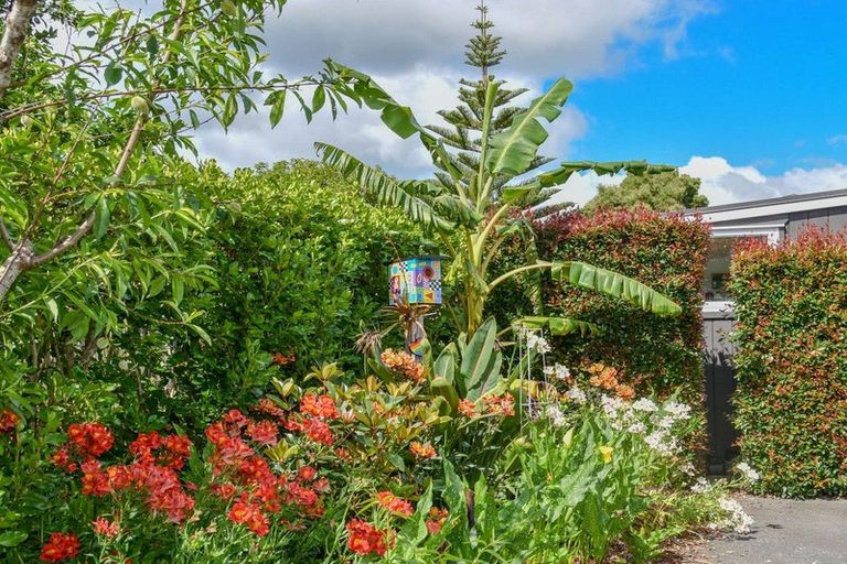 Photo of property in 4 Kuching Lane, Kerikeri, 0230