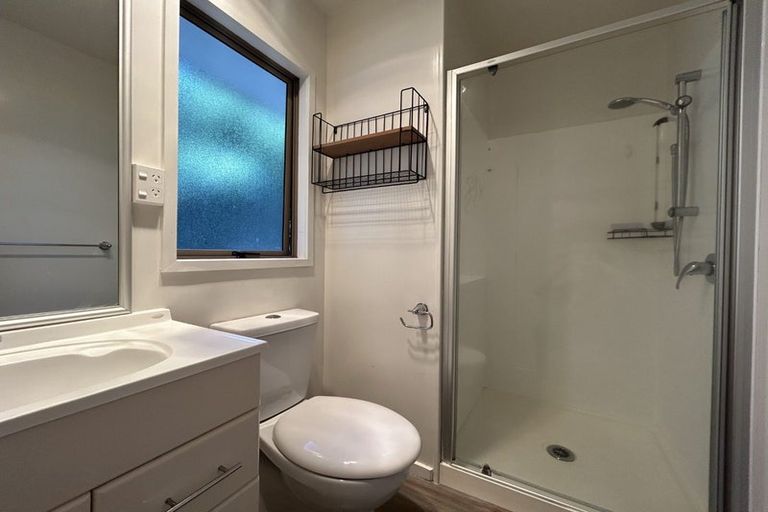 Photo of property in 247b Victoria Street West, Pukekohe, 2120