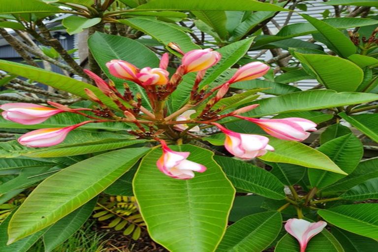 Photo of property in 656 One Tree Point Road, Ruakaka, Whangarei, 0171