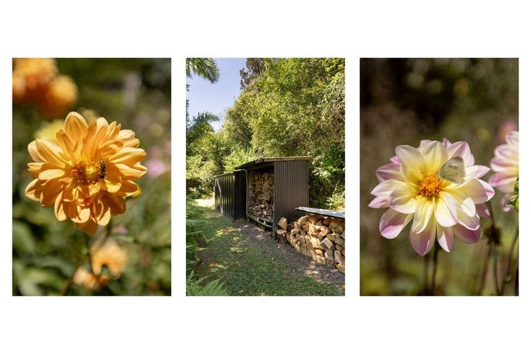 Photo of property in 34 Pengary Lane, Pyes Pa, Tauranga, 3112