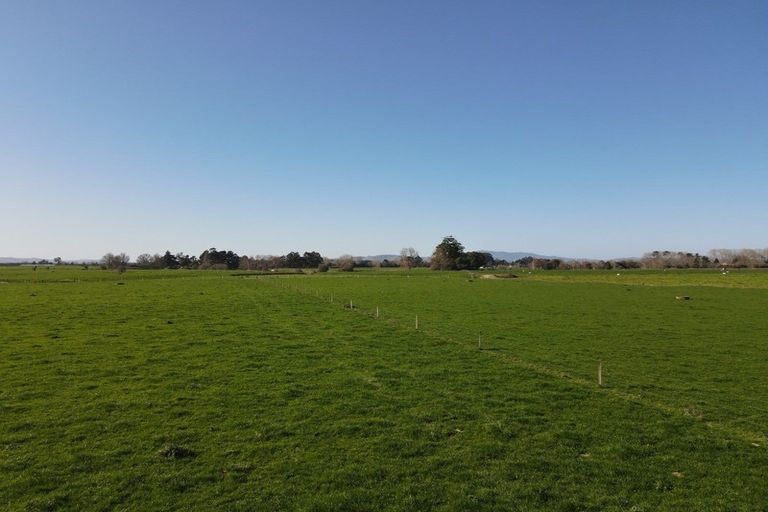 Photo of property in 91 Goodwin Road, Ohaupo, Cambridge, 3495