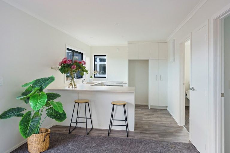 Photo of property in 52c Dunstan Street, Otaki, 5512