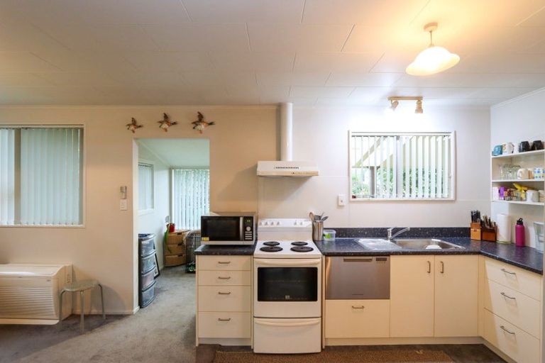 Photo of property in 3 Highfield Street, Waiau, 7332