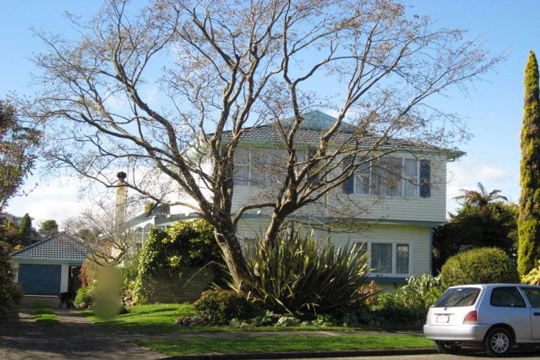 Photo of property in 11 Macarthur Street, Levin, 5510