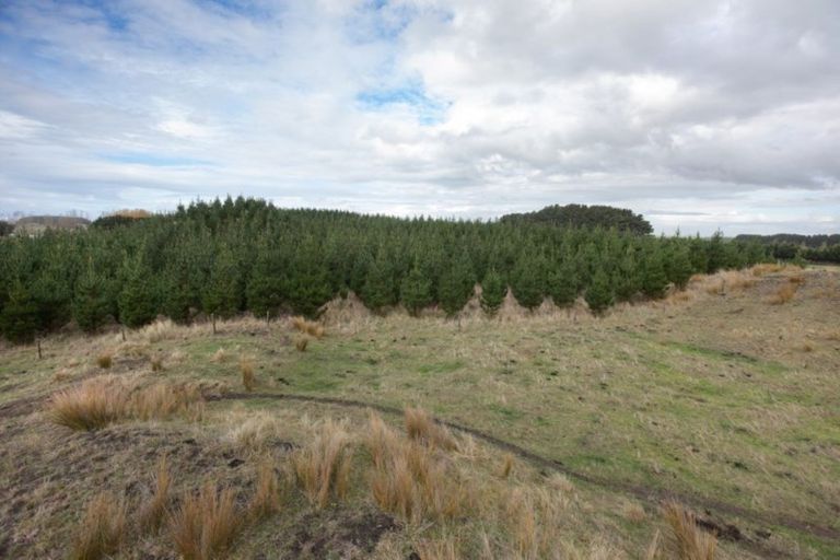 Photo of property in 547 Raumai Road, Bulls, 4894