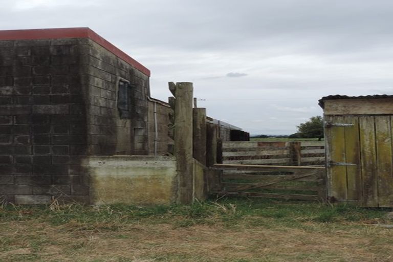 Photo of property in 117 Livingstone Road, Te Poi, Matamata, 3473
