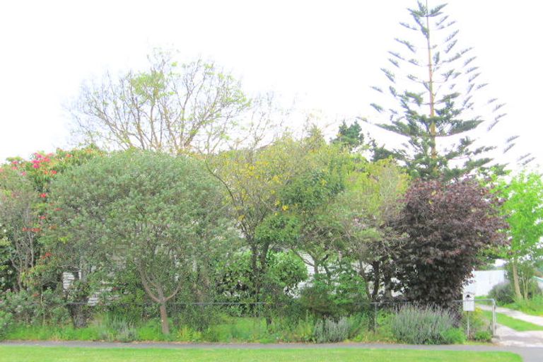 Photo of property in 51 Atkinson Street, Mangapapa, Gisborne, 4010