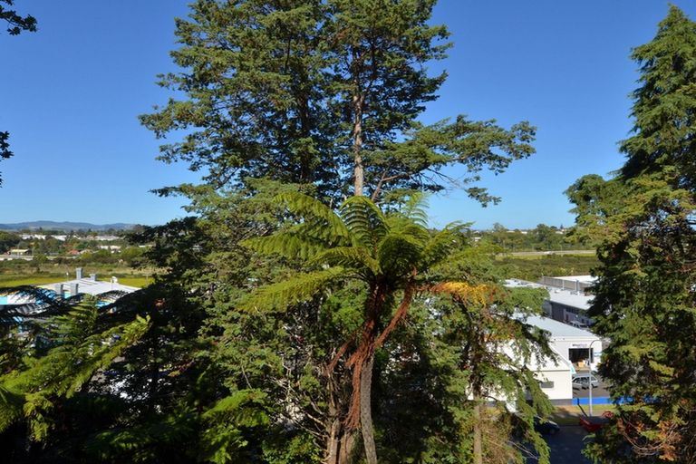 Photo of property in 45 Collingwood Street, Judea, Tauranga, 3110