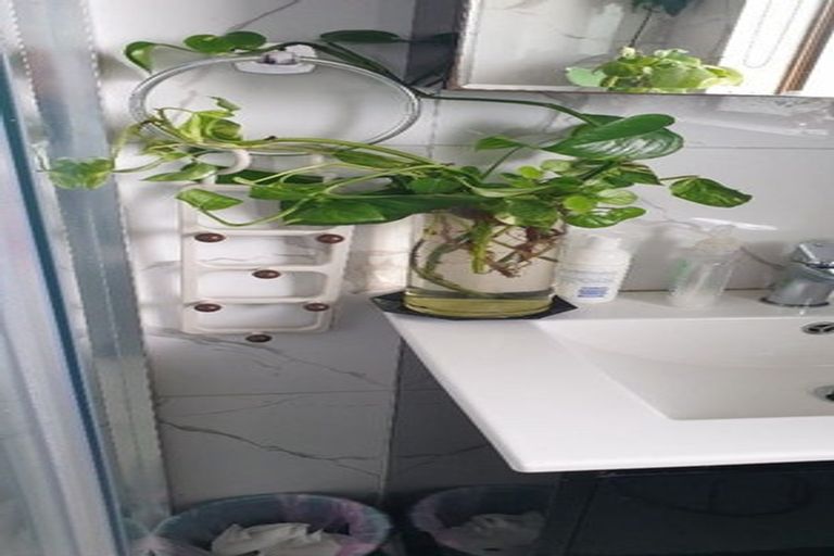 Photo of property in 13a Waari Avenue, Sunnyvale, Auckland, 0612