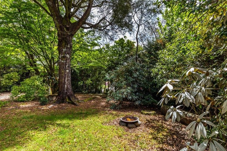 Photo of property in 17 Taupahi Road, Turangi, 3334
