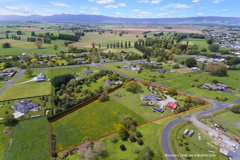 Photo of property in 18 Everad Avenue, Matamata, 3472