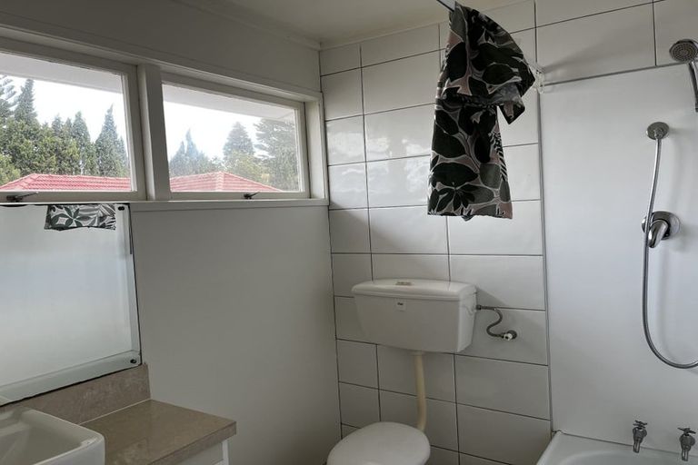 Photo of property in 52 Buscomb Avenue, Henderson, Auckland, 0610